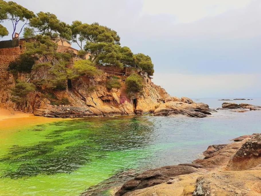 Apartamento Platja D 'Aro, 5 Camas 2 Dormitorios Platja d'Aro Kültér fotó